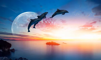 Fototapeten Silhouette eines wunderschönen Delphins, der bei Sonnenuntergang mit Supermond aus dem Meer springt &quot Elemente dieses von der NASA bereitgestellten Bildes&quot  © muratart