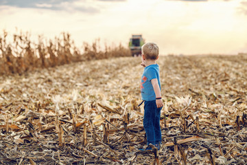Cute little farmer boy standing on corn field and looking and pointing at harvester. In background is harvester harvesting. Back lit.