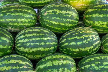 watermelon for sale at the market