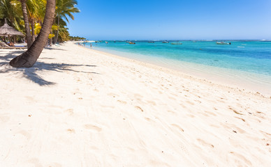 beach on tropical island, Morne Brabant, Mauritius 