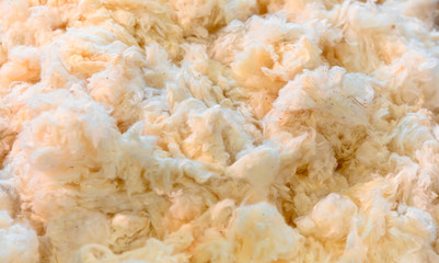 Raw cotton ready for processing
