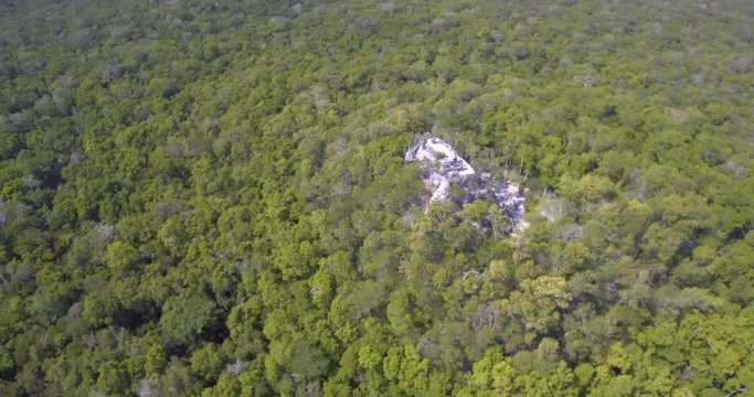 Aerial view from the bigest mayan pyramid La Danta, Peten, Guatemala.