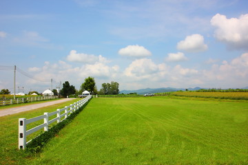 Fototapeta na wymiar farmland with blue sky white cloud mountain beayitful view ,