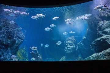 Sea Life Bangkok Ocean World Aquarium in the shopping center of Siam Paragon