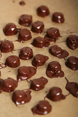 Making Praline (Chocolate Candy with Nut Filling)