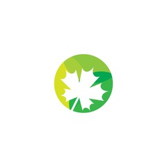 leaf vector template icon design