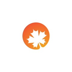 leaf vector template icon design