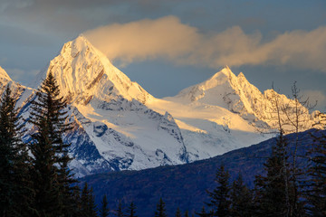 Peaks Through the Trees