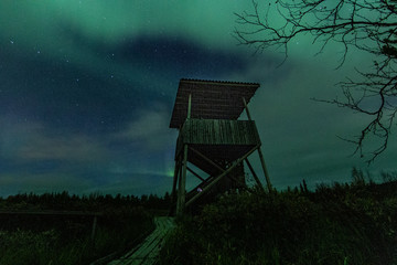autumnal northern lights in Lapland, Finland