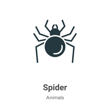 Spider vector icon on white background. Flat vector spider icon symbol sign from modern animals collection for mobile concept and web apps design.