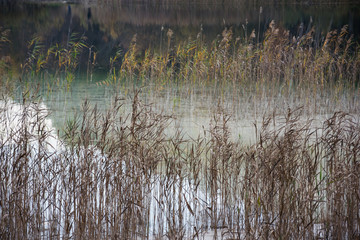 White clay on the lake