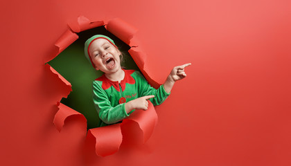 Santa's elf on bright color background - obrazy, fototapety, plakaty