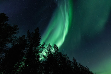 Fototapeta na wymiar autumnal northern lights in Lapland, Finland