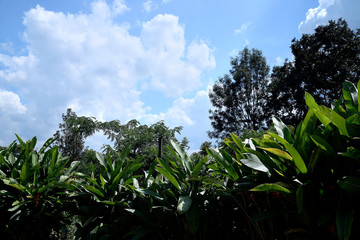 beautiful place in india