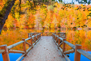 Autumn landscape in (seven lakes) Yedigoller National Park - Bolu, Turkey