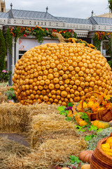A large yellow pumpkin consisting of small squash and pumpkin fruits. Decorations for Thanksgiving and harvest festival, autumn in the city