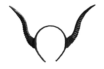 Black horns isolated