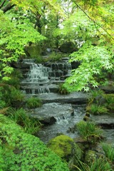 姫路城西御屋敷跡庭園「好古園」の滝