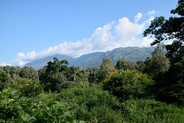 Obraz premium beautiful place in india