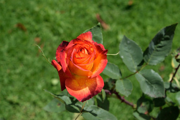 beautiful place in india