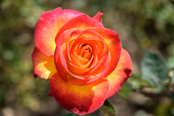 beautiful place in india