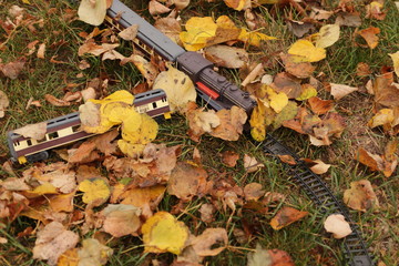 Autumn, children's toy is covered with dry leaves.