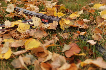 Obraz premium Autumn, children's toy is covered with dry leaves.