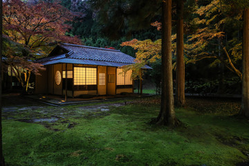 京都　紅葉