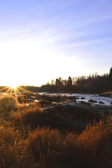 Autumn morning in Koiteli rapid, Kiiminki river. Rising sun, desiccated grass, bright sky. Koitelinkoski, Kiiminkijoki. 