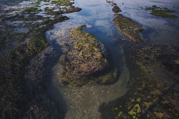 Sea coast