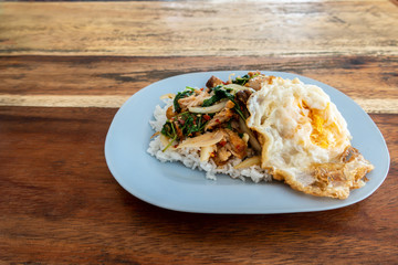 Rice and stir-fried crispy pork and basil with Fried egg background.