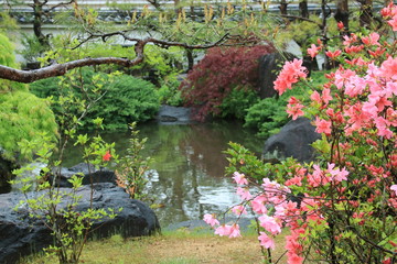 姫路城西御屋敷跡庭園「好古園」