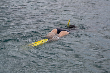 Frau schnorchelt im Meer (Karibik)