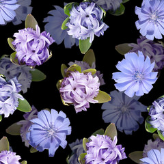 Beautiful floral background of hyacinth and chicory. Isolated