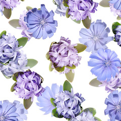 Beautiful floral background of hyacinth and chicory. Isolated