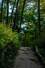 Quiet afternoon in the fall in Toronto