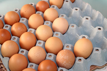 Fresh and organic farm eggs  - healthy dairy food product in paper box