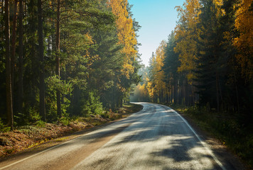 Bright fall colors and beautiful picturesque autumn country road in Finland.