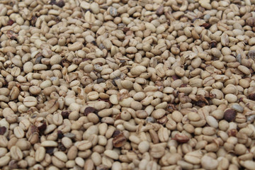 Café seco