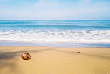 Grain Retro Film Camera Photo of Sand Beach ,high strong wave sea with Coconut on the beach and blue sky 