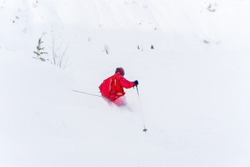 Photo from back of athlete man with beard skiing
