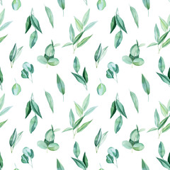 beautiful watercolor illustration, green leaves of eucalyptus, seamless pattern