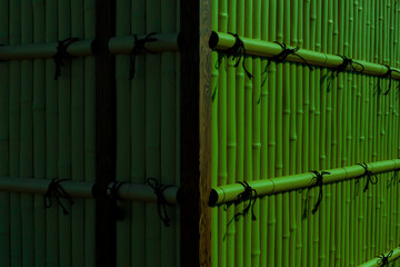bamboo fence_3308g