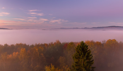 Aerial view to autumn misty fog with trees and hill in sunrise, Czech landscape