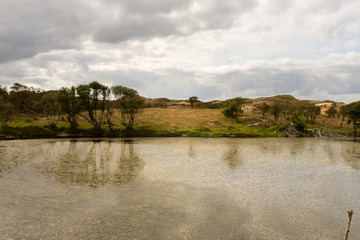 Dune lake with trees reflecting in the water