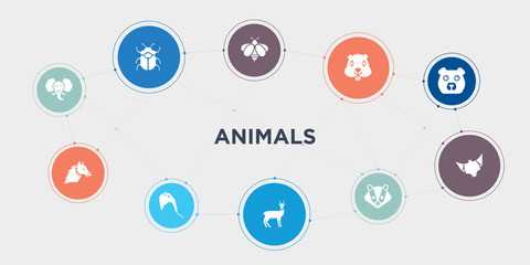 animals 10 points circle design. elephant, alpaca, anteater, antelope round concept icons..