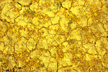 Shiny gold ground texture,abstract background,golden pattern