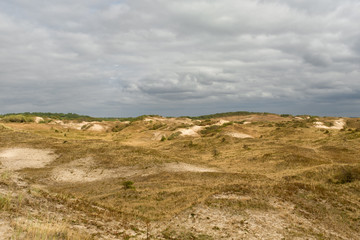 Dry dune landscape and a gray cloudy sky