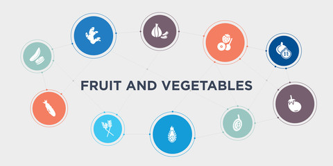 fruit and vegetables 10 points circle design. courgette, cucumber, dill, dragon fruit round concept icons..