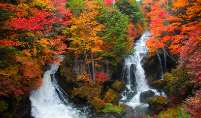 日光竜頭の滝（日本）の鮮やかな紅葉